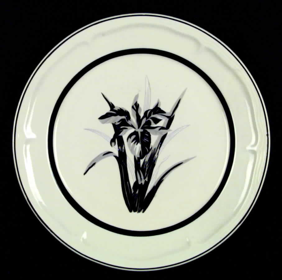 TIE1 Dinner Plate by Tienshan-1