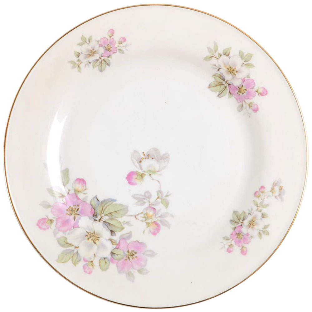 Apple Blossom (White Background) Dinner Plate by Tirschenreuth-1