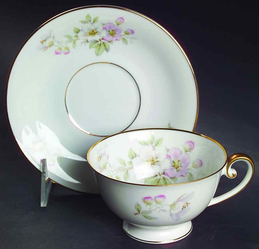Apple Blossom (White Background) Footed Cup & Saucer Set by Tirschenreuth-1