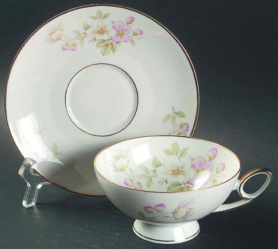 Apple Blossom (White Background) Footed Cup & Saucer Set by Tirschenreuth-1