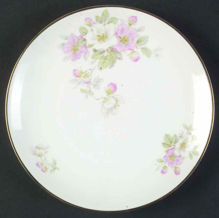 Apple Blossom (White Background) Coupe Salad Plate by Tirschenreuth-1