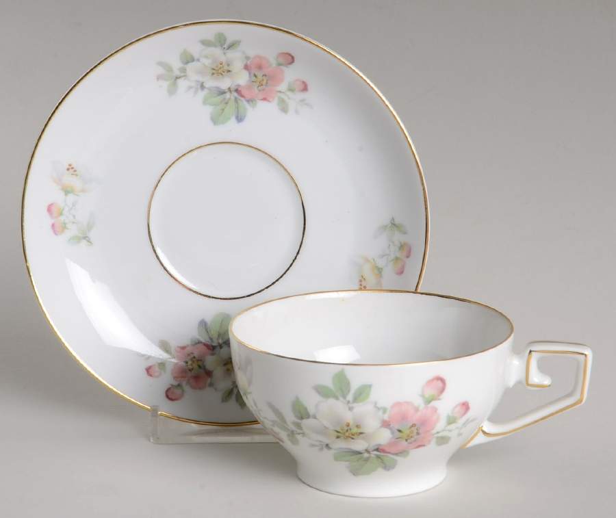 Apple Blossom (White Background) Footed Cup & Saucer Set by Tirschenreuth-1