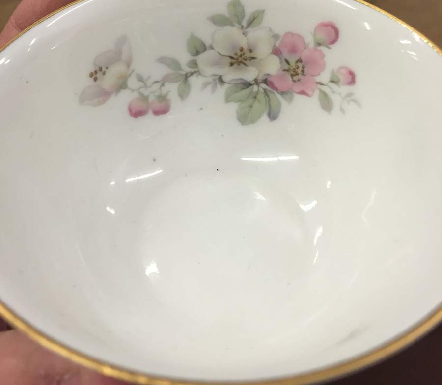 Apple Blossom (White Background) Flat Cup & Saucer Set by Tirschenreuth-1