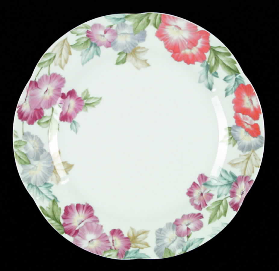 Avignon Dinner Plate by Tirschenreuth-1