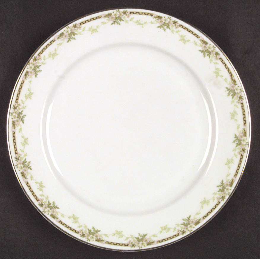 Biltmore Dinner Plate by Tirschenreuth-1