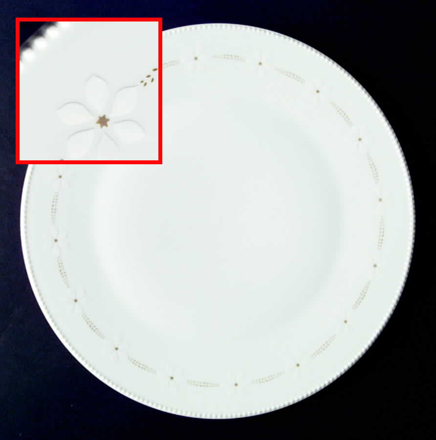 Cameo Dinner Plate by Tirschenreuth-1