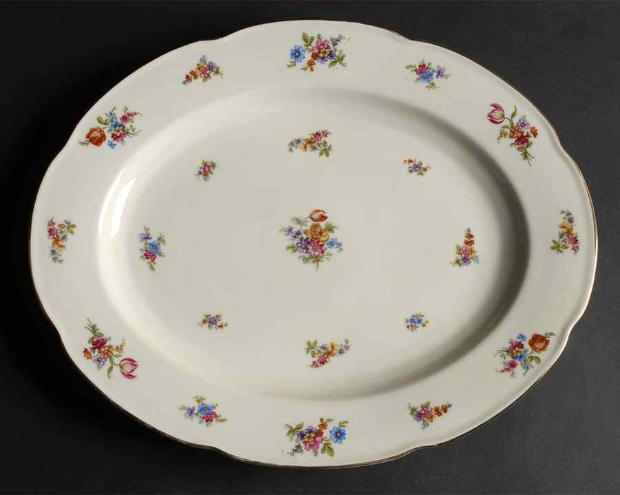 Colwyn 14" Oval Serving Platter by Tirschenreuth-1