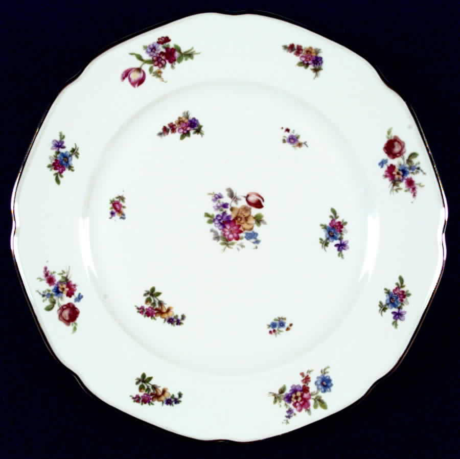 Colwyn Dinner Plate by Tirschenreuth-1