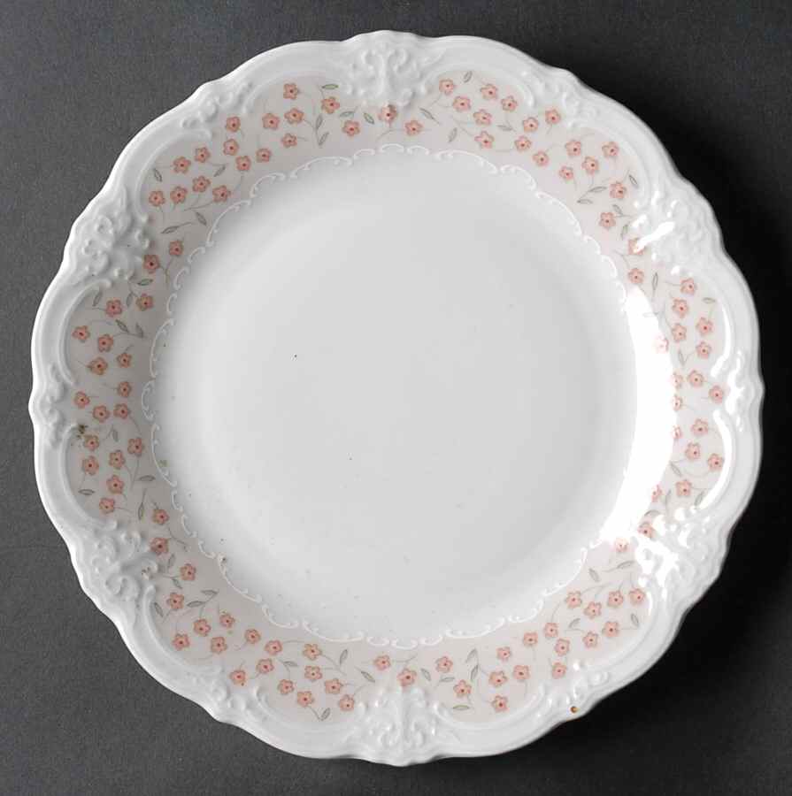 Fleur De Mers Salad Plate by Tirschenreuth-1