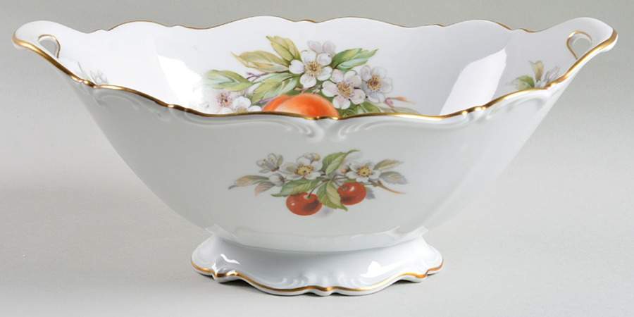 Fruit 11" Oval Handled Bowl by Tirschenreuth-1