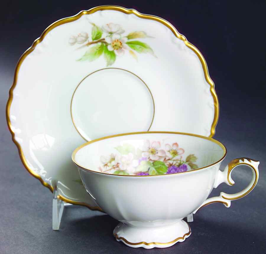 Fruit Footed Cup & Saucer Set by Tirschenreuth-1