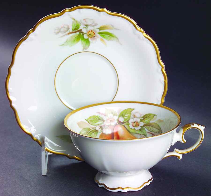 Fruit Footed Cup & Saucer Set by Tirschenreuth-1