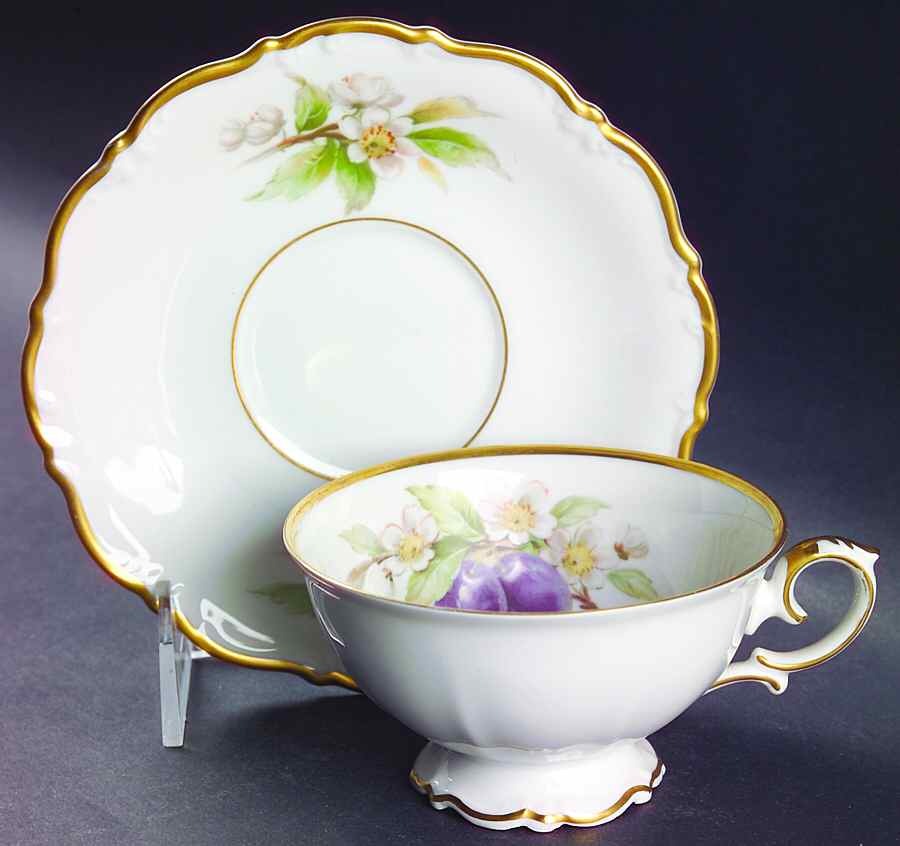 Fruit Footed Cup & Saucer Set by Tirschenreuth-1