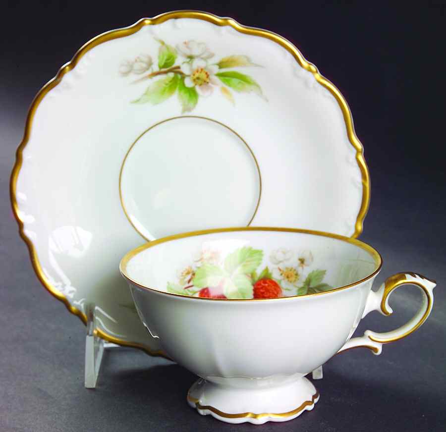 Fruit Footed Cup & Saucer Set by Tirschenreuth-1