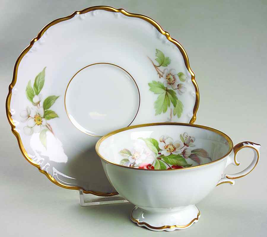 Fruit Footed Cup & Saucer Set by Tirschenreuth-1