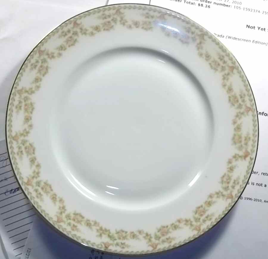 Newport Dessert/Pie Plate by Tirschenreuth-1