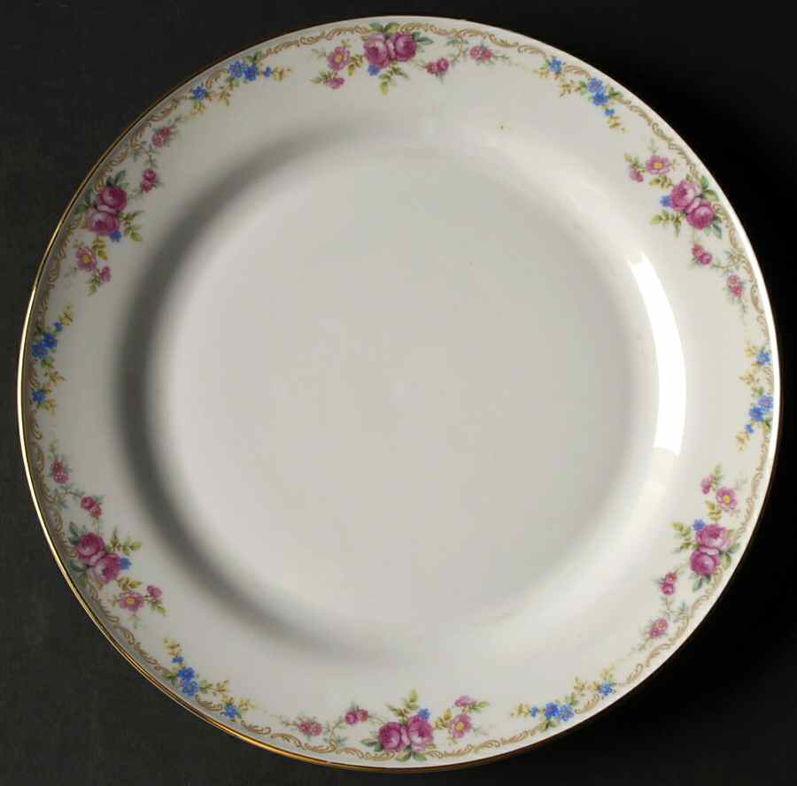 Richmond Dinner Plate by Tirschenreuth-1