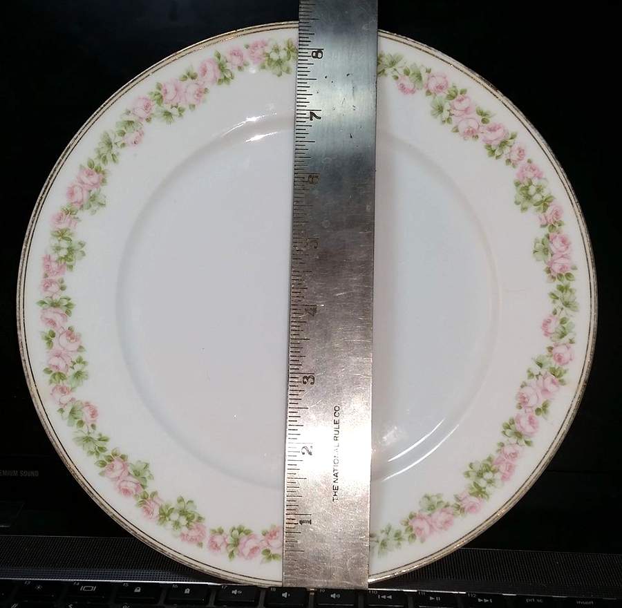 Rosedale Salad Plate by Tirschenreuth-1