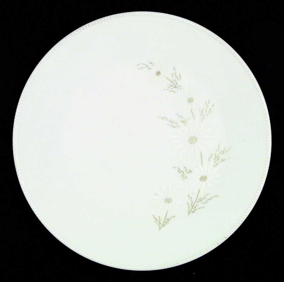 Shasta Dinner Plate by Tirschenreuth-1