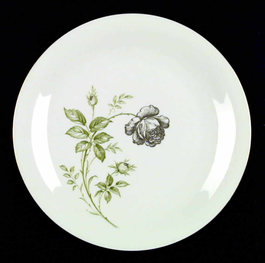 Solitaire Dinner Plate by Tirschenreuth-1