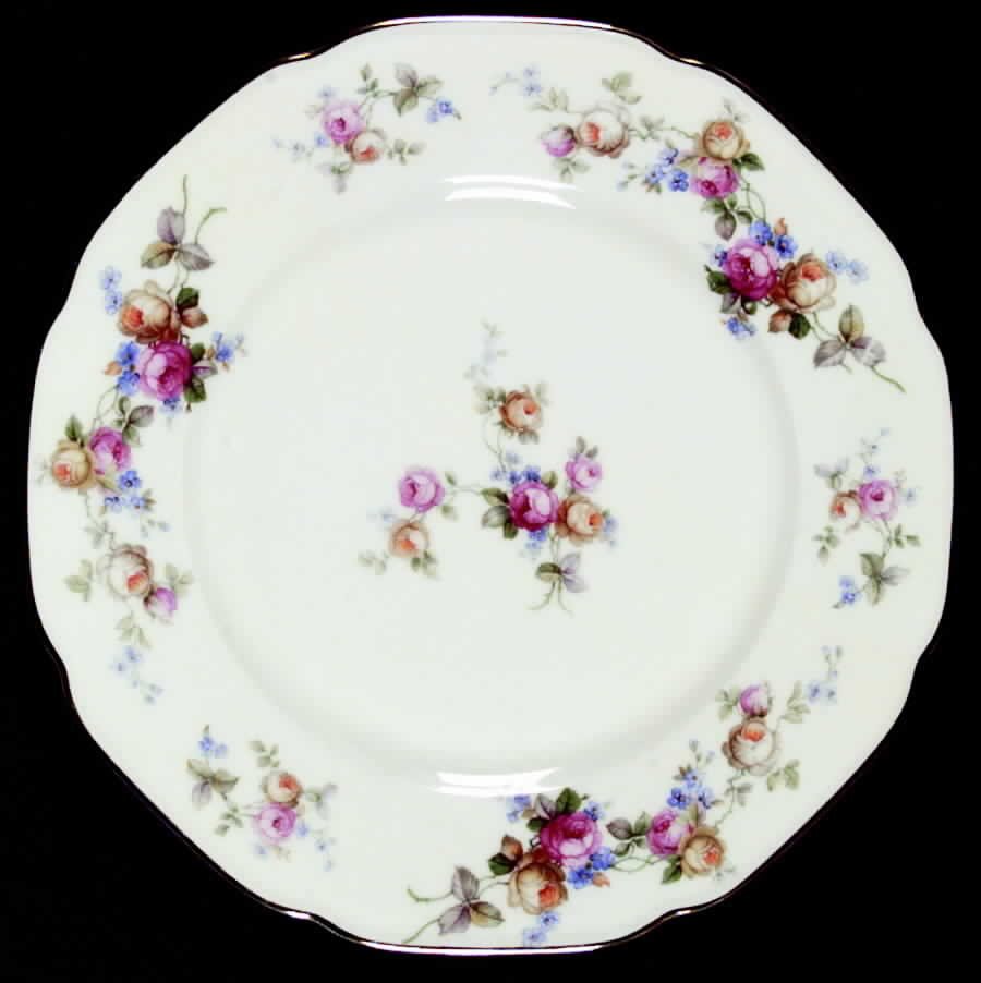 TIR11 Dinner Plate by Tirschenreuth-1
