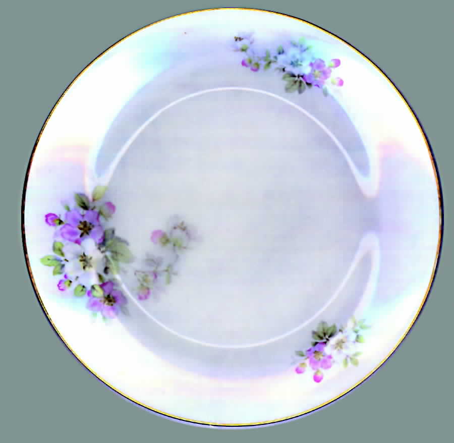 TIR113 Dinner Plate by Tirschenreuth-1