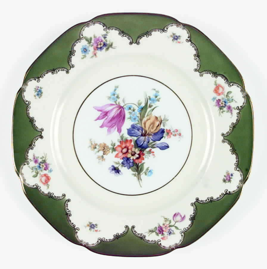 TIR115 Dinner Plate by Tirschenreuth-1