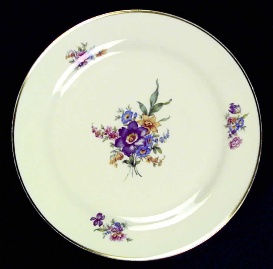 TIR18 Dinner Plate by Tirschenreuth-1
