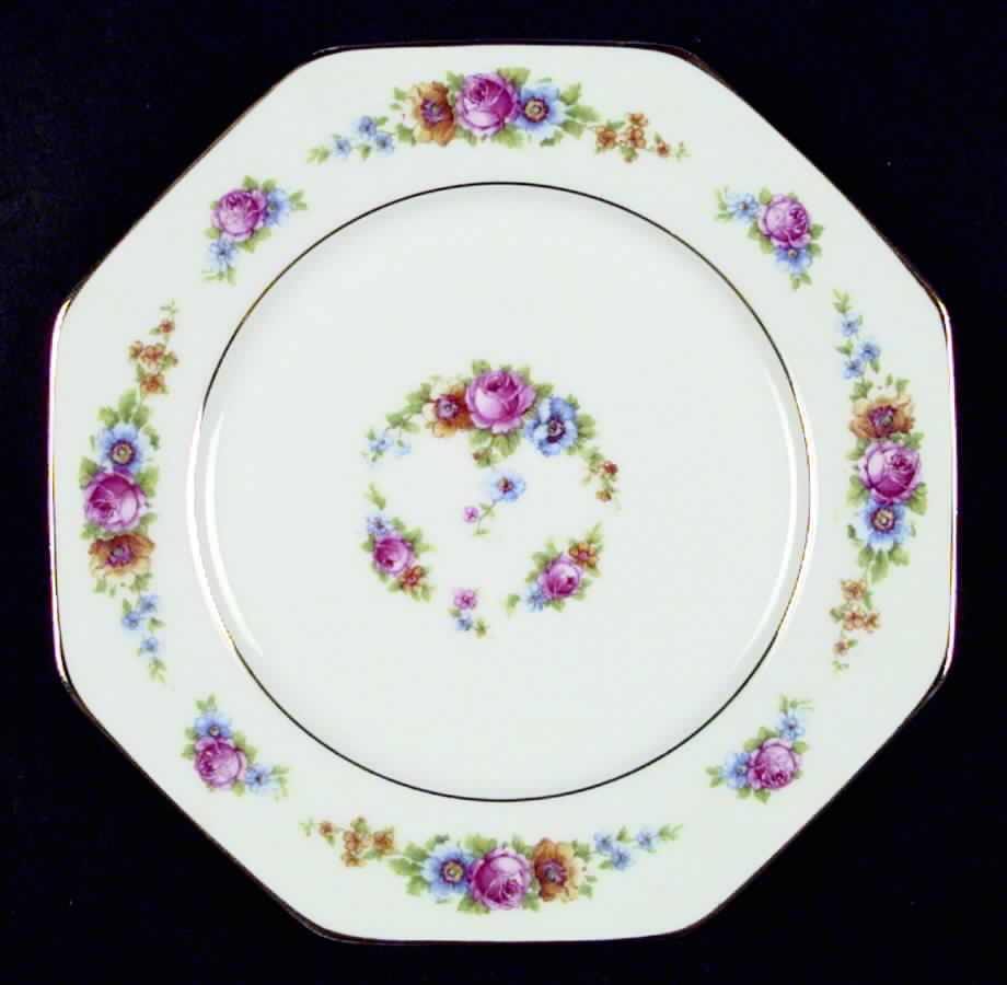 TIR35 Dinner Plate by Tirschenreuth-1