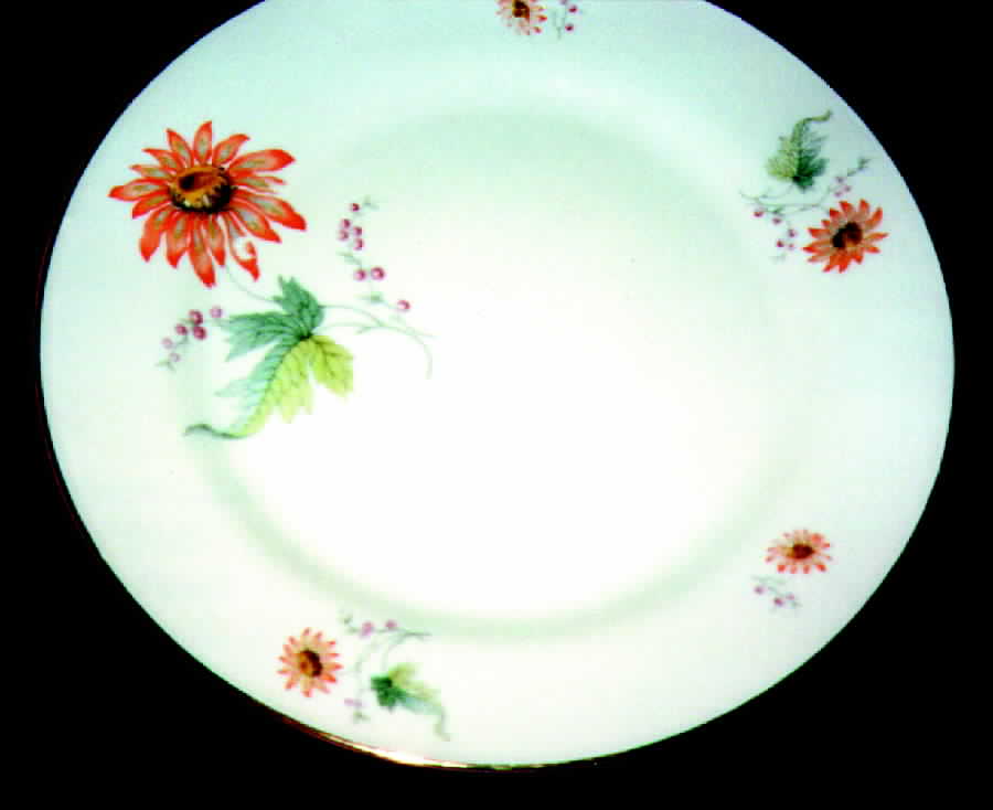 TIR38 Dinner Plate by Tirschenreuth-1