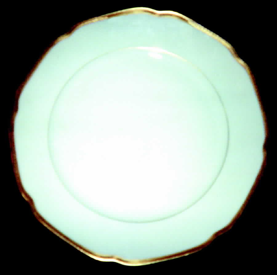TIR39 Dinner Plate by Tirschenreuth-1