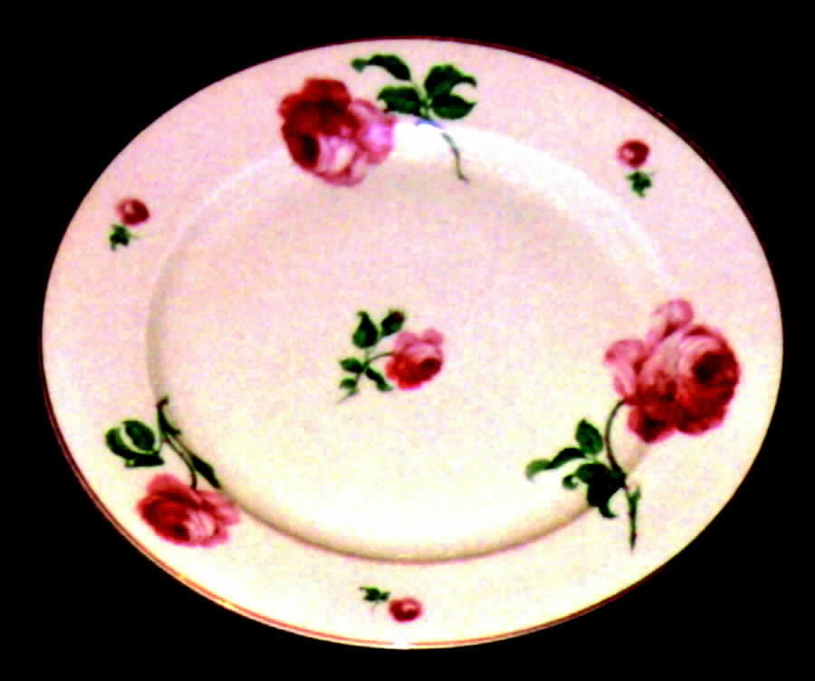 TIR48 Dinner Plate by Tirschenreuth-1