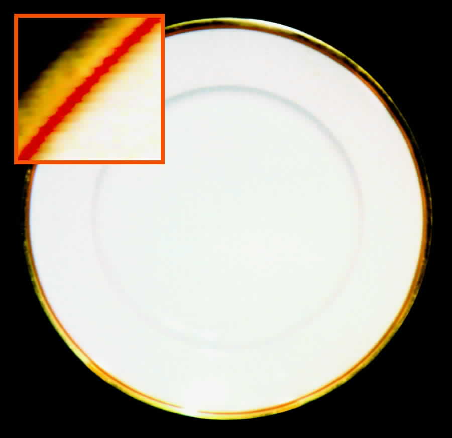 TIR50 Dinner Plate by Tirschenreuth-1