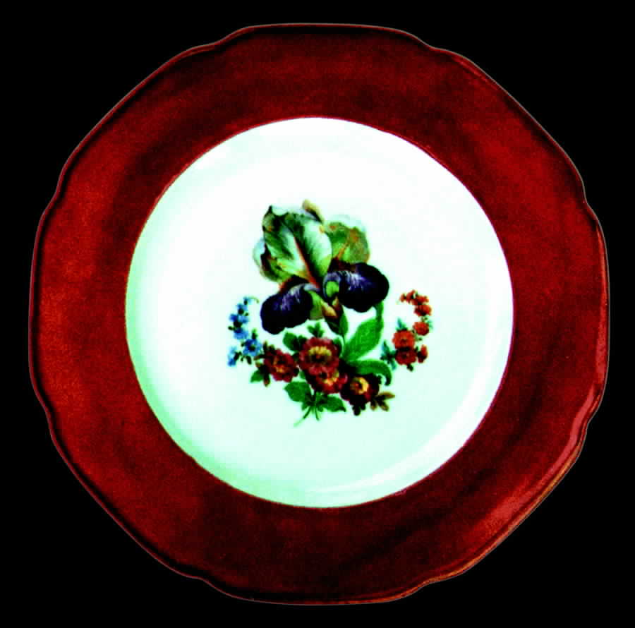 TIR53 Dinner Plate by Tirschenreuth-1