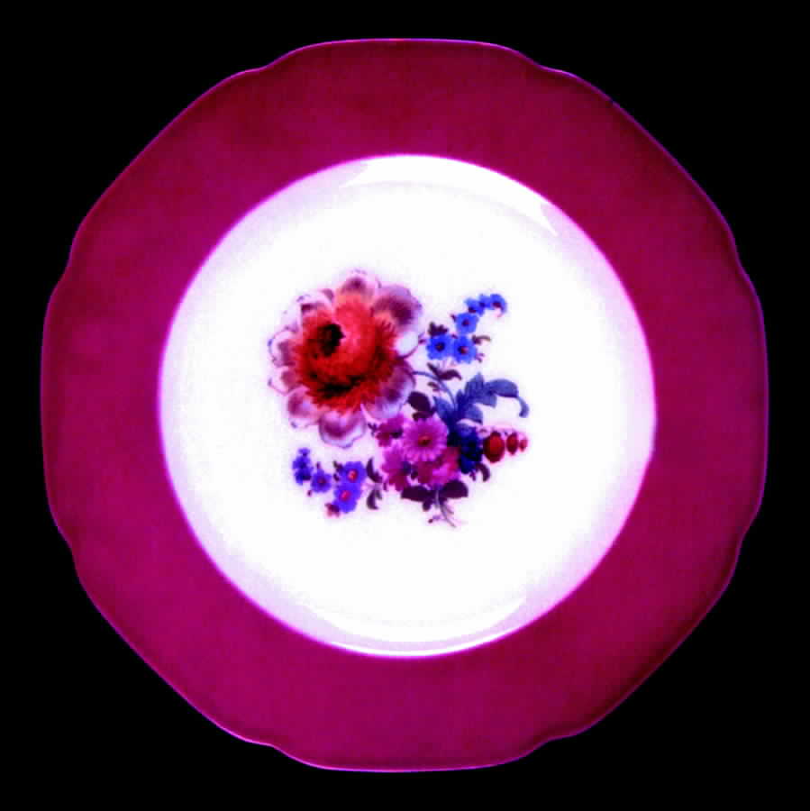 TIR54 Dinner Plate by Tirschenreuth-1