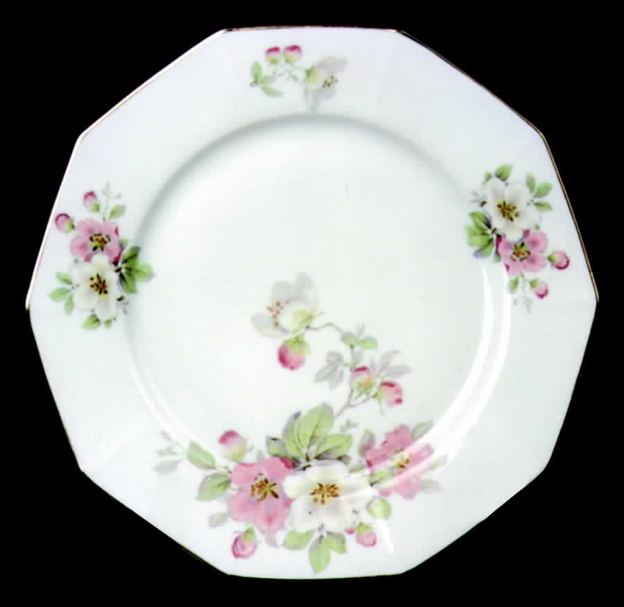 TIR55 Dinner Plate by Tirschenreuth-1