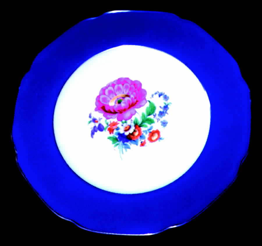 TIR58 Dinner Plate by Tirschenreuth-1