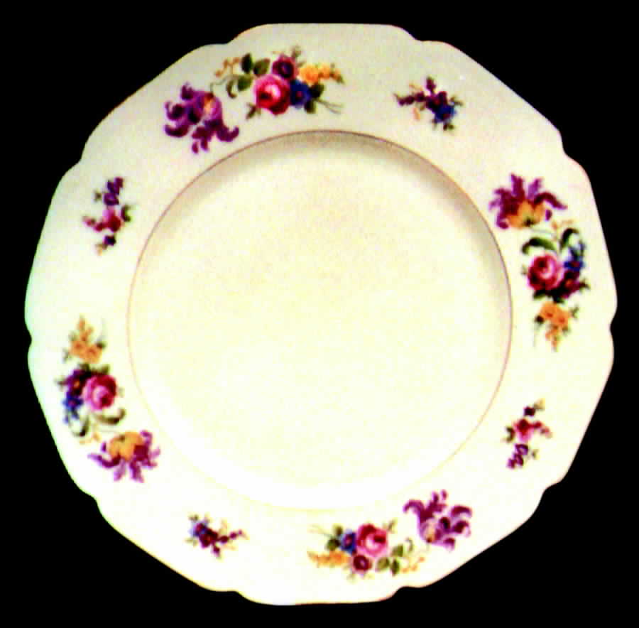 TIR59 Dinner Plate by Tirschenreuth-1