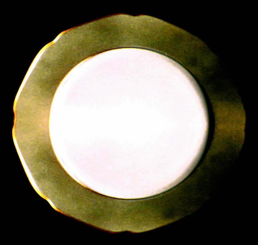 TIR67 Dinner Plate by Tirschenreuth-1