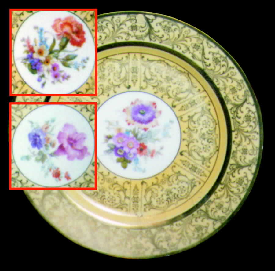 TIR75 Dinner Plate by Tirschenreuth-1