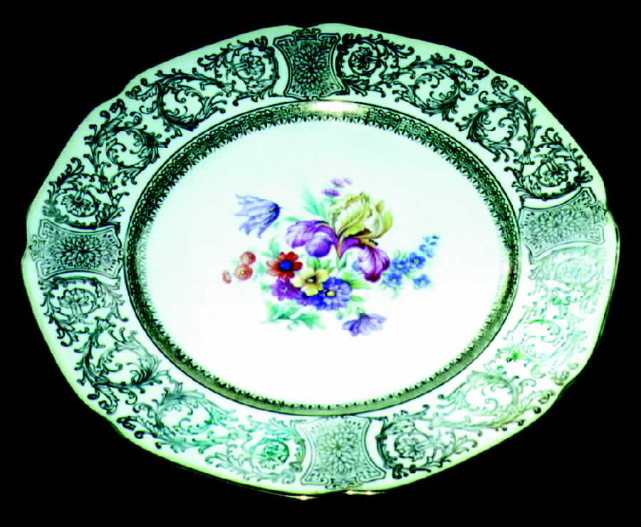 TIR76 Dinner Plate by Tirschenreuth-1