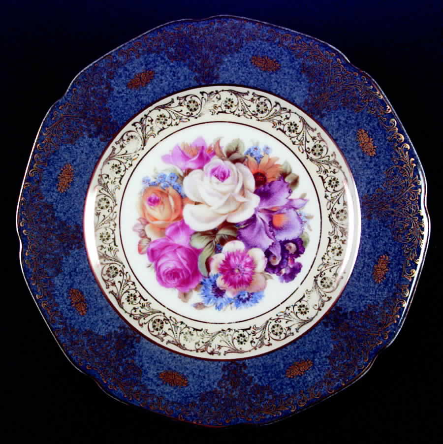 TIR79 Dinner Plate by Tirschenreuth-1