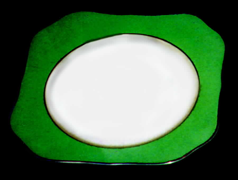 TIR80 Dinner Plate by Tirschenreuth-1