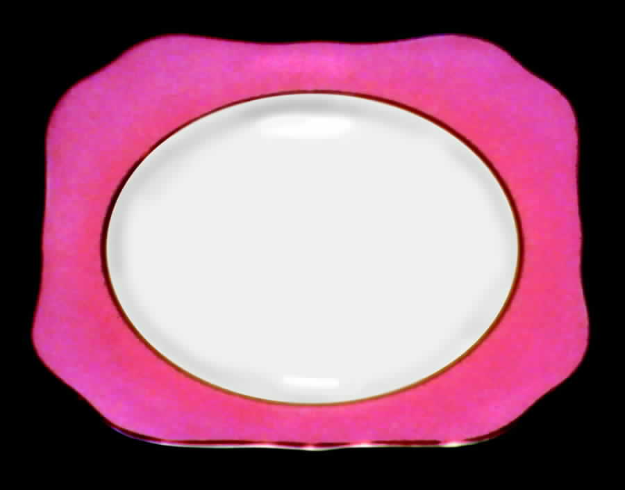 TIR80 Dinner Plate by Tirschenreuth-1