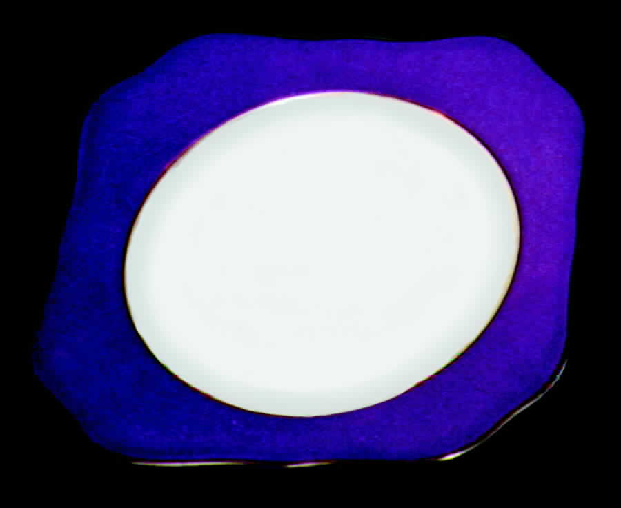 TIR80 Dinner Plate by Tirschenreuth-1