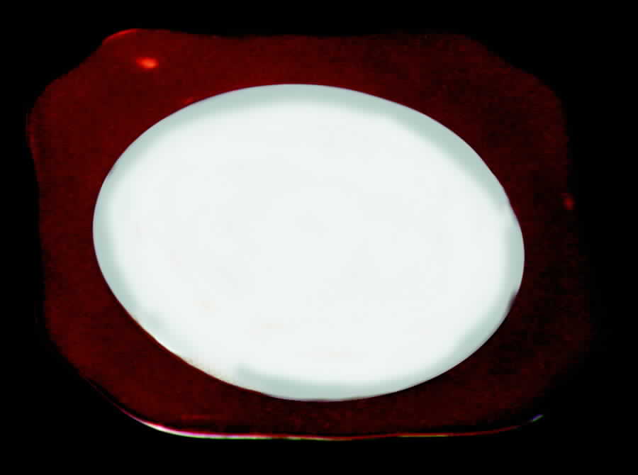 TIR80 Dinner Plate by Tirschenreuth-1