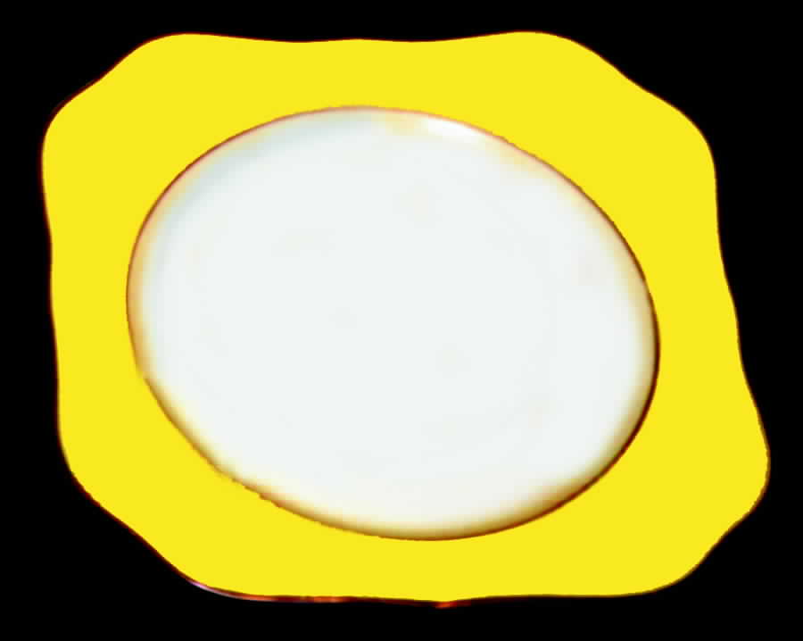 TIR80 Dinner Plate by Tirschenreuth-1
