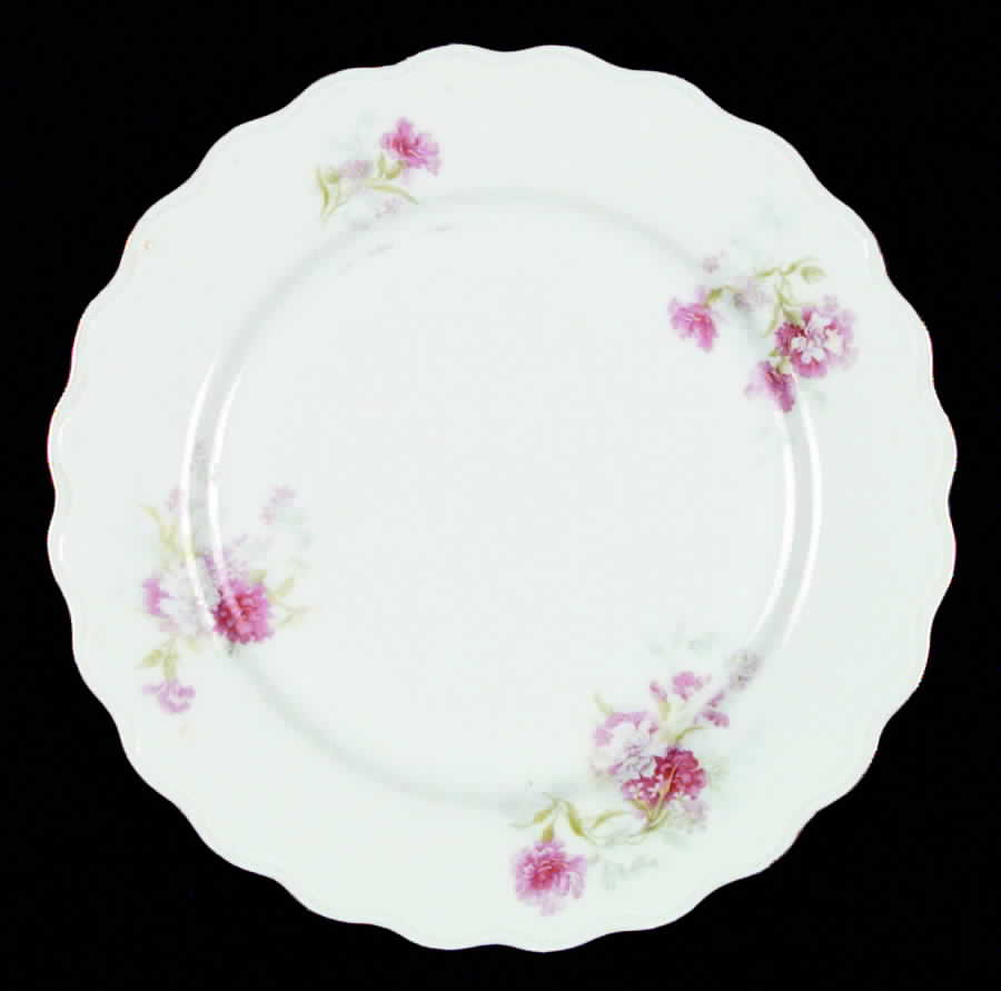 TIR88 Dinner Plate by Tirschenreuth-1