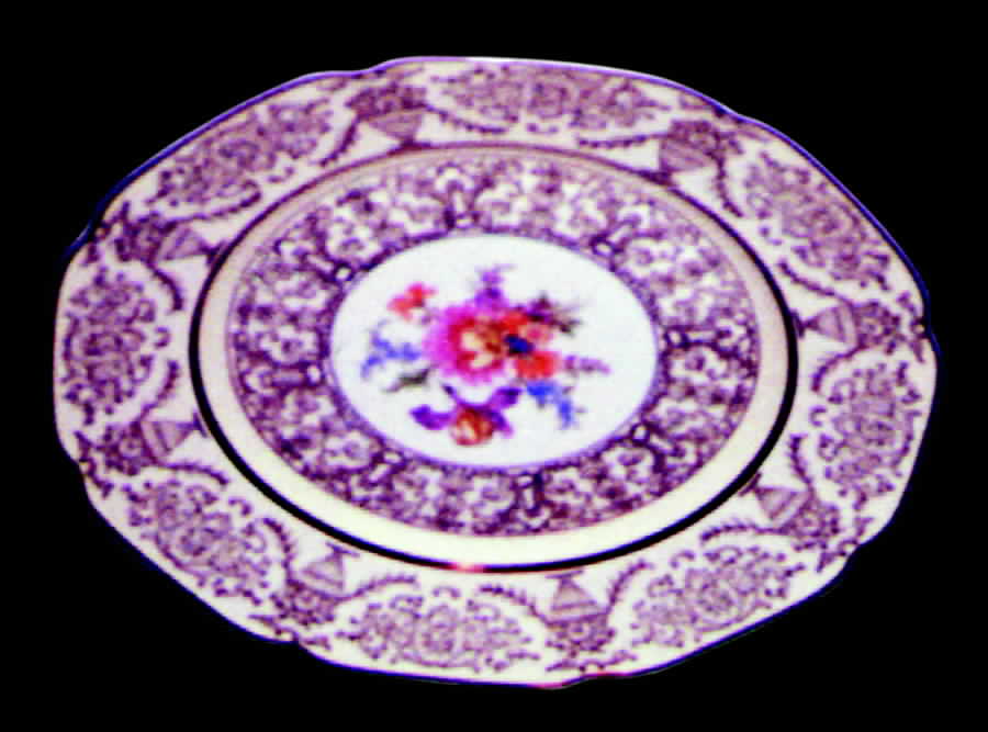 TIR92 Dinner Plate by Tirschenreuth-1