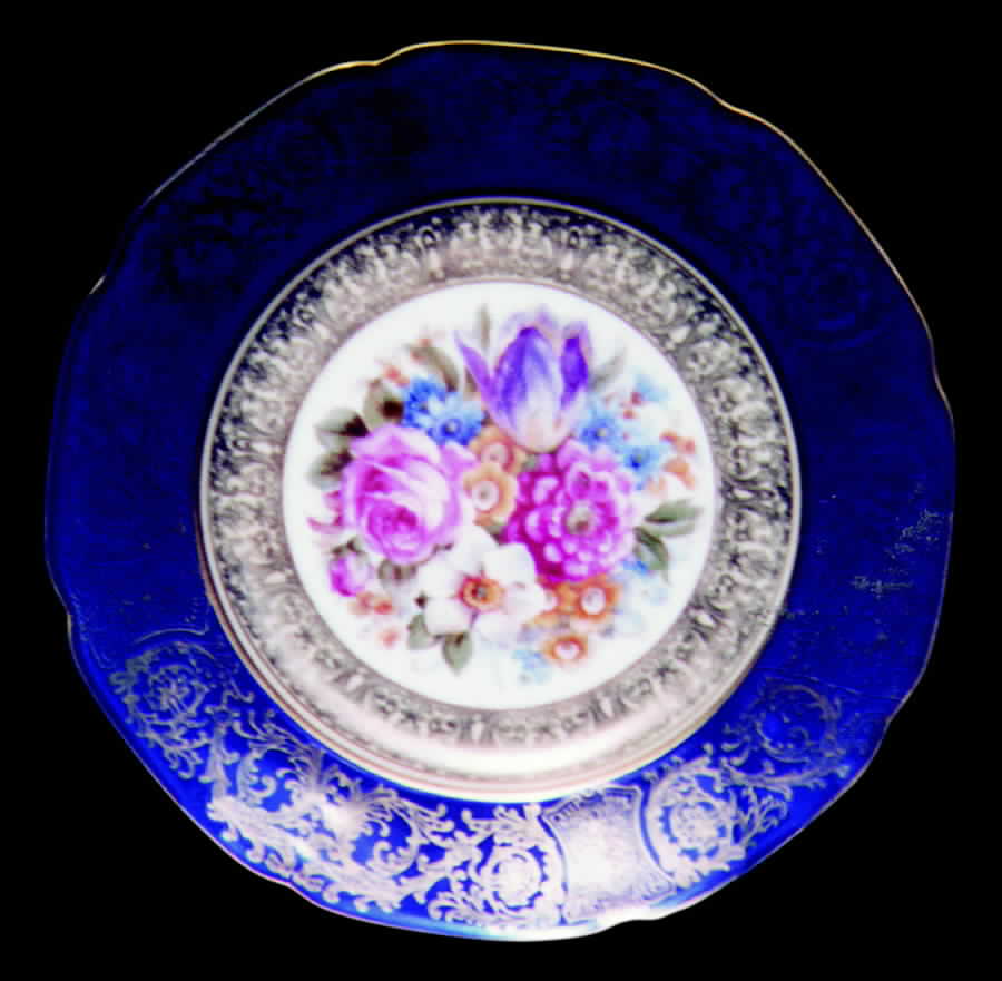 TIR94 Dinner Plate by Tirschenreuth-1